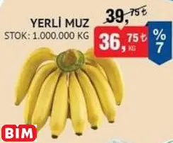 YERLİ MUZ YERLİ MUZ